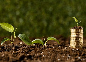 Agricultural Supply Chain